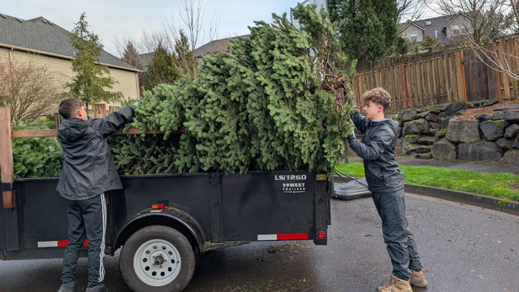 Scouts from Troop 396 loading trees they are picking up in West Linn.